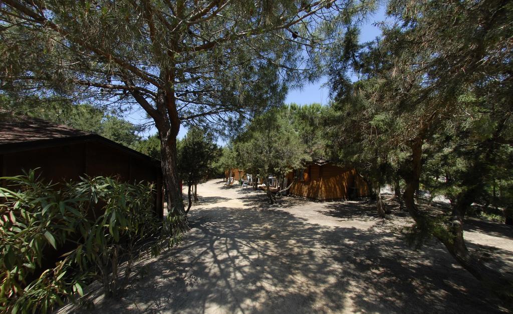 Villaggio Camping Spiaggia Del Riso Віллазімьюс Екстер'єр фото